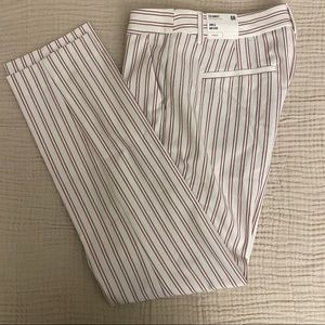 Express Columnist Ankle pants